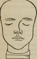 Picture 58 of 74 from The illustrated self-instructor in phrenology and physiology : with over one hundred engravings : together with the chart and character of ... as marked by ... (1859), leaf 138