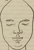 An illustration from The illustrated self-instructor in phrenology and physiology : with over one hundred engravings : together with the chart and character of ... as marked by ... (1859)
