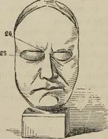 An illustration from The illustrated self-instructor in phrenology and physiology : with over one hundred engravings : together with the chart and character of ... as marked by ... (1859)