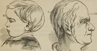 An illustration from The illustrated self-instructor in phrenology and physiology : with over one hundred engravings : together with the chart and character of ... as marked by ... (1859)