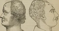 An illustration from The illustrated self-instructor in phrenology and physiology : with over one hundred engravings : together with the chart and character of ... as marked by ... (1859)