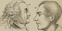 An illustration from The illustrated self-instructor in phrenology and physiology : with over one hundred engravings : together with the chart and character of ... as marked by ... (1859)