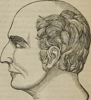 An illustration from The illustrated self-instructor in phrenology and physiology : with over one hundred engravings : together with the chart and character of ... as marked by ... (1859)