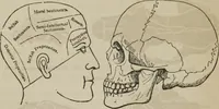 Picture 16 of 74 from The illustrated self-instructor in phrenology and physiology : with over one hundred engravings : together with the chart and character of ... as marked by ... (1859), leaf 65