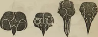 Picture 21 of 74 from The illustrated self-instructor in phrenology and physiology : with over one hundred engravings : together with the chart and character of ... as marked by ... (1859), leaf 67
