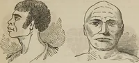 An illustration from The illustrated self-instructor in phrenology and physiology : with over one hundred engravings : together with the chart and character of ... as marked by ... (1859)