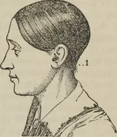 An illustration from The illustrated self-instructor in phrenology and physiology : with over one hundred engravings : together with the chart and character of ... as marked by ... (1859)