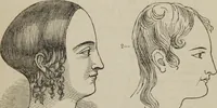 An illustration from The illustrated self-instructor in phrenology and physiology : with over one hundred engravings : together with the chart and character of ... as marked by ... (1859)