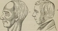 An illustration from The illustrated self-instructor in phrenology and physiology : with over one hundred engravings : together with the chart and character of ... as marked by ... (1859)