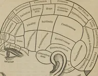 Picture 1 of 74 from The illustrated self-instructor in phrenology and physiology : with over one hundred engravings : together with the chart and character of ... as marked by ... (1859), leaf 9