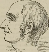 An illustration from The illustrated self-instructor in phrenology and physiology : with over one hundred engravings : together with the chart and character of ... as marked by ... (1859)