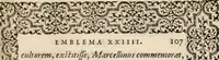 An illustration from Hadriani Iunii medici Emblemata, ad D. Arnoldum Cobelium [electronic resource]: eiusdem Aenigmatum libellus, ad D. Arnoldum Rosenbergum (1565)