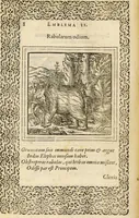 An illustration from Hadriani Iunii medici Emblemata, ad D. Arnoldum Cobelium [electronic resource]: eiusdem Aenigmatum libellus, ad D. Arnoldum Rosenbergum (1565)