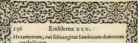 An illustration from Hadriani Iunii medici Emblemata, ad D. Arnoldum Cobelium [electronic resource]: eiusdem Aenigmatum libellus, ad D. Arnoldum Rosenbergum (1565)