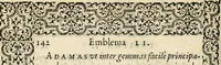 Picture 135 of 143 from Hadriani Iunii medici Emblemata, ad D. Arnoldum Cobelium [electronic resource]: eiusdem Aenigmatum libellus, ad D. Arnoldum Rosenbergum (1565), leaf 148