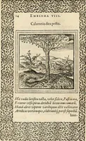 An illustration from Hadriani Iunii medici Emblemata, ad D. Arnoldum Cobelium [electronic resource]: eiusdem Aenigmatum libellus, ad D. Arnoldum Rosenbergum (1565)