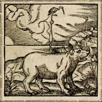 An illustration from Hadriani Iunii medici Emblemata, ad D. Arnoldum Cobelium [electronic resource]: eiusdem Aenigmatum libellus, ad D. Arnoldum Rosenbergum (1565)