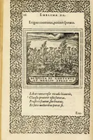 An illustration from Hadriani Iunii medici Emblemata, ad D. Arnoldum Cobelium [electronic resource]: eiusdem Aenigmatum libellus, ad D. Arnoldum Rosenbergum (1565)