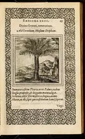 An illustration from Hadriani Iunii medici Emblemata, ad D. Arnoldum Cobelium [electronic resource]: eiusdem Aenigmatum libellus, ad D. Arnoldum Rosenbergum (1565)
