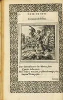An illustration from Hadriani Iunii medici Emblemata, ad D. Arnoldum Cobelium [electronic resource]: eiusdem Aenigmatum libellus, ad D. Arnoldum Rosenbergum (1565)