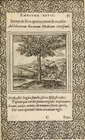 An illustration from Hadriani Iunii medici Emblemata, ad D. Arnoldum Cobelium [electronic resource]: eiusdem Aenigmatum libellus, ad D. Arnoldum Rosenbergum (1565)