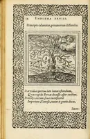 An illustration from Hadriani Iunii medici Emblemata, ad D. Arnoldum Cobelium [electronic resource]: eiusdem Aenigmatum libellus, ad D. Arnoldum Rosenbergum (1565)