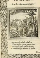 An illustration from Hadriani Iunii medici Emblemata, ad D. Arnoldum Cobelium [electronic resource]: eiusdem Aenigmatum libellus, ad D. Arnoldum Rosenbergum (1565)