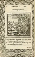 An illustration from Hadriani Iunii medici Emblemata, ad D. Arnoldum Cobelium [electronic resource]: eiusdem Aenigmatum libellus, ad D. Arnoldum Rosenbergum (1565)