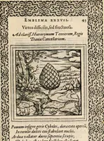 An illustration from Hadriani Iunii medici Emblemata, ad D. Arnoldum Cobelium [electronic resource]: eiusdem Aenigmatum libellus, ad D. Arnoldum Rosenbergum (1565)