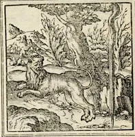 An illustration from Hadriani Iunii medici Emblemata, ad D. Arnoldum Cobelium [electronic resource]: eiusdem Aenigmatum libellus, ad D. Arnoldum Rosenbergum (1565)