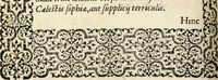 An illustration from Hadriani Iunii medici Emblemata, ad D. Arnoldum Cobelium [electronic resource]: eiusdem Aenigmatum libellus, ad D. Arnoldum Rosenbergum (1565)