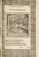 An illustration from Hadriani Iunii medici Emblemata, ad D. Arnoldum Cobelium [electronic resource]: eiusdem Aenigmatum libellus, ad D. Arnoldum Rosenbergum (1565)