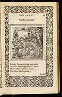 An illustration from Hadriani Iunii medici Emblemata, ad D. Arnoldum Cobelium [electronic resource]: eiusdem Aenigmatum libellus, ad D. Arnoldum Rosenbergum (1565)