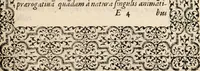 An illustration from Hadriani Iunii medici Emblemata, ad D. Arnoldum Cobelium [electronic resource]: eiusdem Aenigmatum libellus, ad D. Arnoldum Rosenbergum (1565)