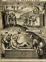 Picture 68 of 144 from Paradisus sponsi et sponsae in quo messis myrrhae et aromatum ex instrumentis ac mysterijs passionis Christi colligenda, vt ei commoriamur : et, Pancarpium Marianum, septemplici titulorum serie distinctum, vt in B. Virginis odorem curramus, et Christus formetur in nobis (1618), leaf 313