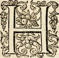 Picture 73 of 144 from Paradisus sponsi et sponsae in quo messis myrrhae et aromatum ex instrumentis ac mysterijs passionis Christi colligenda, vt ei commoriamur : et, Pancarpium Marianum, septemplici titulorum serie distinctum, vt in B. Virginis odorem curramus, et Christus formetur in nobis (1618), leaf 341
