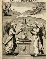 Picture 91 of 144 from Paradisus sponsi et sponsae in quo messis myrrhae et aromatum ex instrumentis ac mysterijs passionis Christi colligenda, vt ei commoriamur : et, Pancarpium Marianum, septemplici titulorum serie distinctum, vt in B. Virginis odorem curramus, et Christus formetur in nobis (1618), leaf 423