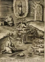 Picture 116 of 144 from Paradisus sponsi et sponsae in quo messis myrrhae et aromatum ex instrumentis ac mysterijs passionis Christi colligenda, vt ei commoriamur : et, Pancarpium Marianum, septemplici titulorum serie distinctum, vt in B. Virginis odorem curramus, et Christus formetur in nobis (1618), leaf 549