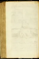 Picture 65 of 143 from Paradisus sponsi et sponsae: in quo messis myrrhae et aromatum ex instrumentis ac mysterijs passionis Christi colligenda, vt ei commoriamur : et, Pancarpium Marianum, septemplici titulorum serie distinctum, vt in B. Virginis odorem curramus, et Christus formetur in nobis (1618), leaf 302