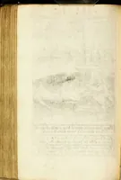 An illustration from Paradisus sponsi et sponsae: in quo messis myrrhae et aromatum ex instrumentis ac mysterijs passionis Christi colligenda, vt ei commoriamur : et, Pancarpium Marianum, septemplici titulorum serie distinctum, vt in B. Virginis odorem curramus, et Christus formetur in nobis (1618)