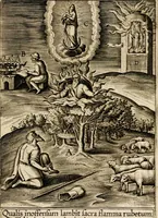 An illustration from Paradisus sponsi et sponsae: in quo messis myrrhae et aromatum ex instrumentis ac mysterijs passionis Christi colligenda, vt ei commoriamur : et, Pancarpium Marianum, septemplici titulorum serie distinctum, vt in B. Virginis odorem curramus, et Christus formetur in nobis (1618)