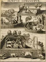 Picture 116 of 143 from Paradisus sponsi et sponsae: in quo messis myrrhae et aromatum ex instrumentis ac mysterijs passionis Christi colligenda, vt ei commoriamur : et, Pancarpium Marianum, septemplici titulorum serie distinctum, vt in B. Virginis odorem curramus, et Christus formetur in nobis (1618), leaf 555