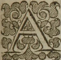 An illustration from The anatomy of melancholy : what it is, with all the kinds causes, symptomes, prognostickes, & seuerall cures of it ; in three partitions, with their severall sections, members & subsections ; philosophically, medicinally, historically, opened & cut up (1628)