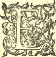 Picture 4 of 5 from Placitum magni consilii pro gallicana Benedictorum congregatione, aduersus Maioris. Monasterij monachos (1606), leaf 321