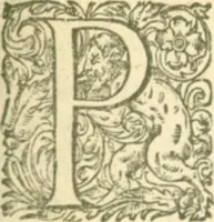 Picture 5 of 5 from Placitum magni consilii pro gallicana Benedictorum congregatione, aduersus Maioris. Monasterij monachos (1606), leaf 329