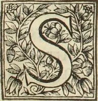 Picture 3 of 5 from Placitum magni consilii pro gallicana Benedictorum congregatione, aduersus Maioris. Monasterij monachos (1606), leaf 88