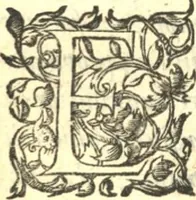 Picture 5 of 6 from Placitum magni consilii pro gallicana Benedictorum congregatione, aduersus Maioris. Monasterij monachos (1606), leaf 321