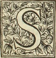An illustration from Placitum magni consilii pro gallicana Benedictorum congregatione, aduersus Maioris. Monasterij monachos (1606)