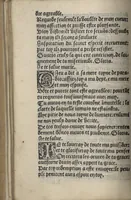 An illustration from Icy commence le psaultier de la tressacree Vierge Marie mere de Jesu Crist saulveur de tout lhumain lignage compose par le docteur seraphicque Monseigneur sainct Bonaventure evesque dalbanie et cardinal de Rome lequel a este nouvellement translate de latin en françoys a lhonneur et louenge dicelle tres digne Vierge. (1509)