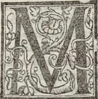 An illustration from Il Principe... La vita di Castruccio Castracani... Il modo che tenne il duca Valentino per ammazare Vitellozo, Oliverotto da Fermo, il S. Pagolo et il duca di Gravina... I ritratti delle cose della Francia et della Alamagna... Nuovamente aggiunti... (1535)